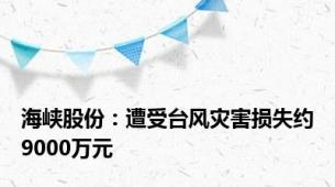 海峡股份：遭受台风灾害损失约9000万元