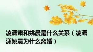 凌潇肃和姚晨是什么关系（凌潇潇姚晨为什么离婚）