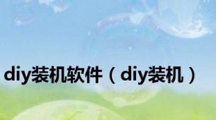 diy装机软件（diy装机）