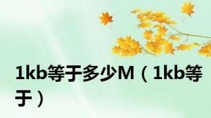 1kb等于多少M（1kb等于）