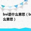 bvi是什么意思（bv是什么意思）