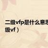 二级vfp是什么意思（二级vf）