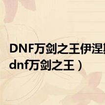 DNF万剑之王伊涅斯塔（dnf万剑之王）