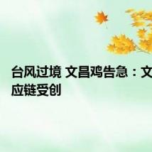 台风过境 文昌鸡告急：文昌鸡供应链受创