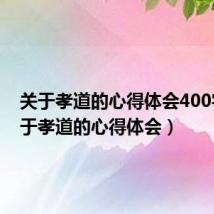 关于孝道的心得体会400字（关于孝道的心得体会）