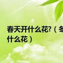 春天开什么花?（冬天开什么花）