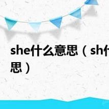 she什么意思（sh什么意思）