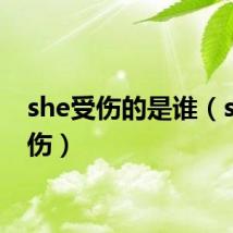 she受伤的是谁（she受伤）