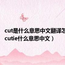 cut是什么意思中文翻译怎么读（cutie什么意思中文）