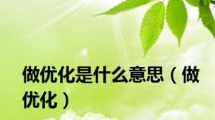 做优化是什么意思（做优化）