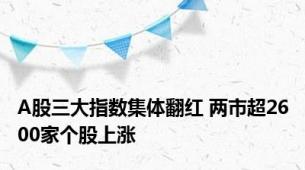 A股三大指数集体翻红 两市超2600家个股上涨