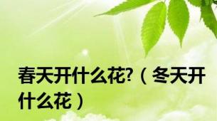 春天开什么花?（冬天开什么花）