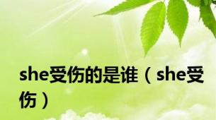 she受伤的是谁（she受伤）