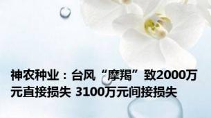 神农种业：台风“摩羯”致2000万元直接损失 3100万元间接损失