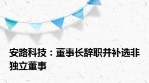 安路科技：董事长辞职并补选非独立董事