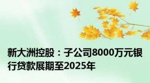 新大洲控股：子公司8000万元银行贷款展期至2025年