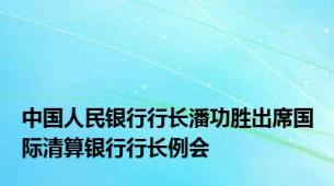 中国人民银行行长潘功胜出席国际清算银行行长例会