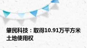 肇民科技：取得10.91万平方米土地使用权