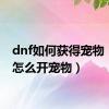 dnf如何获得宠物（dnf怎么开宠物）