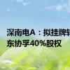 深南电A：拟挂牌转让惠东协孚40%股权