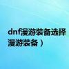 dnf漫游装备选择（dnf漫游装备）