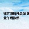 锂矿股拉升走强 赣锋锂业午后涨停