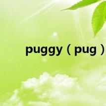 puggy（pug）