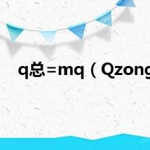 q总=mq（Qzong）