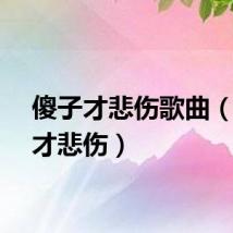 傻子才悲伤歌曲（傻子才悲伤）