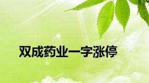 双成药业一字涨停