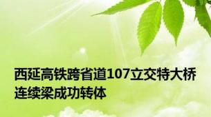 西延高铁跨省道107立交特大桥连续梁成功转体