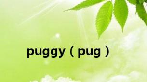 puggy（pug）