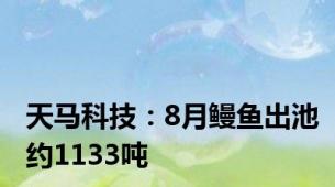 天马科技：8月鳗鱼出池约1133吨