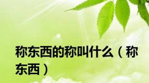 称东西的称叫什么（称东西）