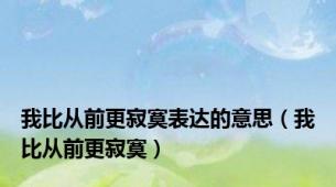 我比从前更寂寞表达的意思（我比从前更寂寞）