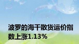 波罗的海干散货运价指数上涨1.13%