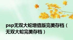 psp无双大蛇增值版完美存档（无双大蛇完美存档）