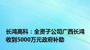 长鸿高科：全资子公司广西长鸿收到5000万元政府补助