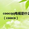 coocqq电视是什么牌子（cooco）