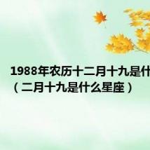 1988年农历十二月十九是什么星座（二月十九是什么星座）