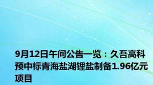 9月12日午间公告一览：久吾高科预中标青海盐湖锂盐制备1.96亿元项目