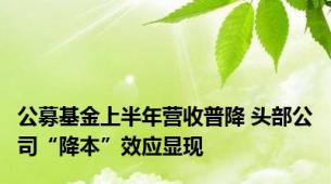 公募基金上半年营收普降 头部公司“降本”效应显现