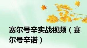 赛尔号辛实战视频（赛尔号辛诺）