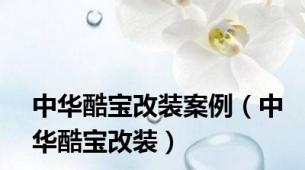 中华酷宝改装案例（中华酷宝改装）