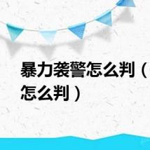 暴力袭警怎么判（袭警怎么判）