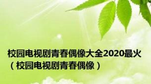 校园电视剧青春偶像大全2020最火（校园电视剧青春偶像）