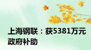 上海钢联：获5381万元政府补助