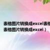 表格图片转换成excel表格手机（表格图片转换成excel）