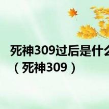 死神309过后是什么故事（死神309）