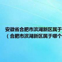 安徽省合肥市滨湖新区属于什么区（合肥市滨湖新区属于哪个区）